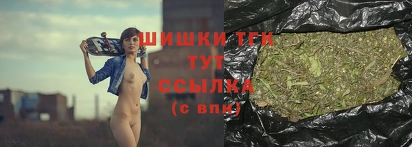 индика Богородск