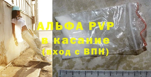 индика Богородск