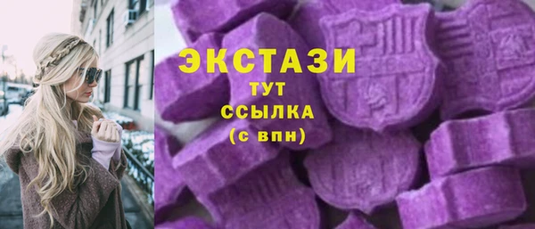индика Богородск