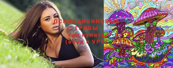 прущие крисы Богородицк