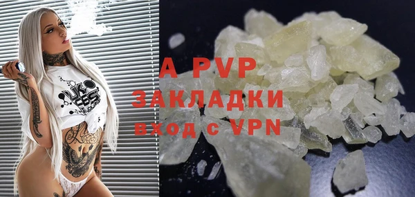 индика Богородск