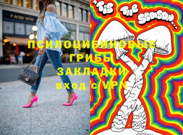 индика Богородск