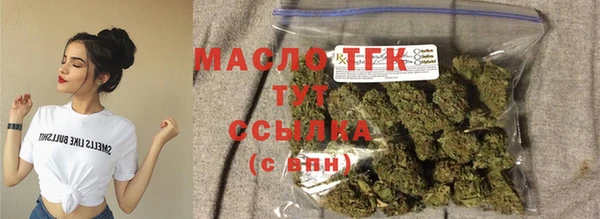 индика Богородск