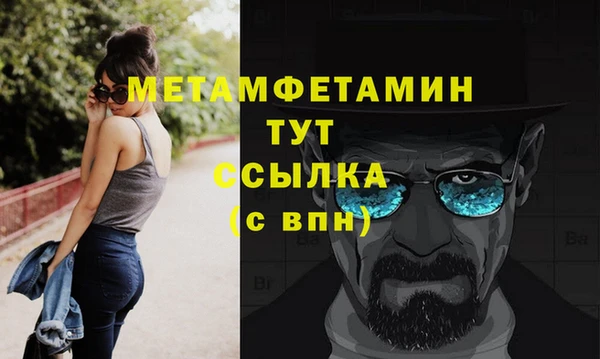 индика Богородск